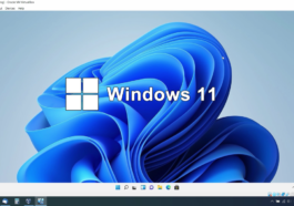 Windows 11 Virtual Machine