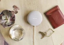 How to Factory Reset Google Nest Mini