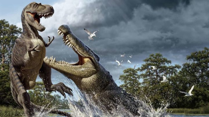 Dinossauros, répteis 