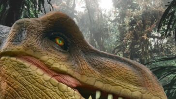 Nous ne vivons pas jusqu'à 200 ans et les dinosaures pourraient en être responsables 14 Dinossauros, répteis