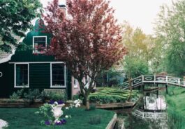 Les personnes qui vivent près de la nature semblent vieillir plus lentement 86 Casa na natureza