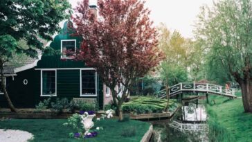 Les personnes qui vivent près de la nature semblent vieillir plus lentement 5 Casa na natureza