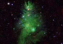 Un albero di Natale brilla nella Via Lattea, la nuova spettacolare foto della NASA