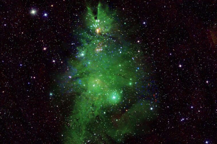 Un sapin de Noël brille dans la Voie lactée, la nouvelle spectaculaire photo de la NASA 1 Un albero di Natale brilla nella Via Lattea, la nuova spettacolare foto della NASA
