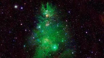 La NASA photographie "l'Arbre de Noël" à 2500 années-lumière de la Terre 29 Nova imagem da NASA do aglomerado NGC 2264, também conhecido como o