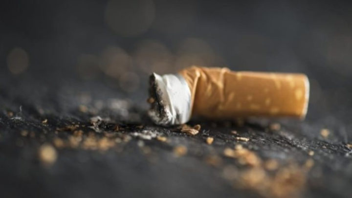 La Lituanie a une solution pour les mégots de cigarettes : les utiliser pour produire du... 3 Beata de cigarros