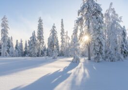 L’inverno che non c’è: rischi e conseguenze della neve perduta per la crisi climatica