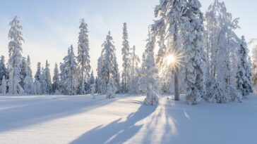 L'hiver absent : risques et conséquences de l'absence de neige pour la crise climatique 12 L’inverno che non c’è: rischi e conseguenze della neve perduta per la crisi climatica