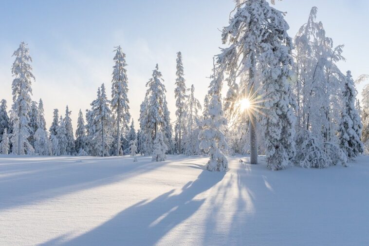 L'hiver absent : risques et conséquences de l'absence de neige pour la crise climatique 1 L’inverno che non c’è: rischi e conseguenze della neve perduta per la crisi climatica