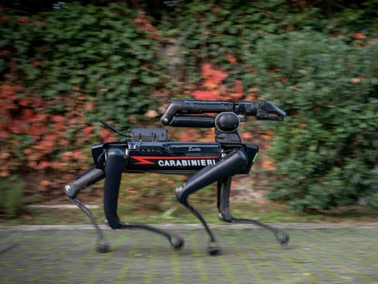Pourquoi les carabiniers ont décidé de recruter leur premier chien robot 1 Perché i carabinieri hanno deciso di arruolare il loro primo cane robot