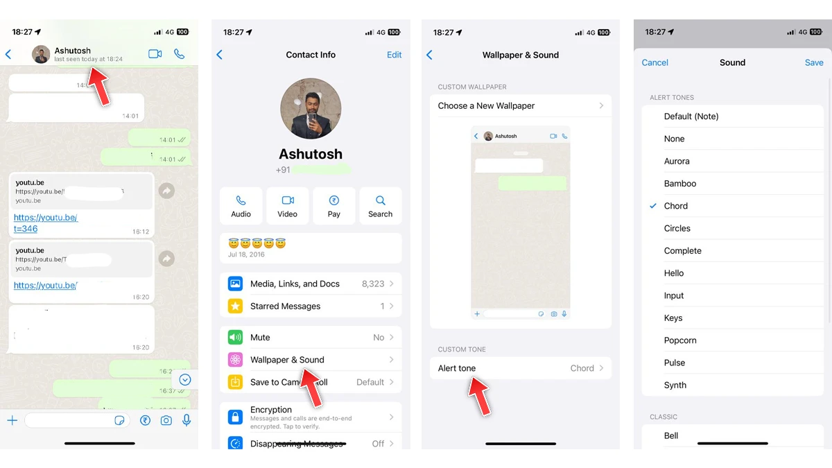 Comment définir une sonnerie d'alerte de notification personnalisée pour des contacts individuels dans WhatsApp sur iPhone 2 Comment attribuer une tonalité d'alerte spéciale à n'importe quel contact sur WhatsApp