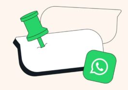 WhatsApp pinned messages