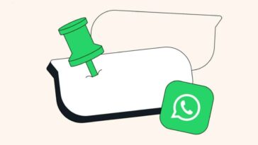 Fonctionnalité des messages épinglés sur WhatsApp permet d'épingler des messages spécifiques dans une discussion 19 WhatsApp pinned messages