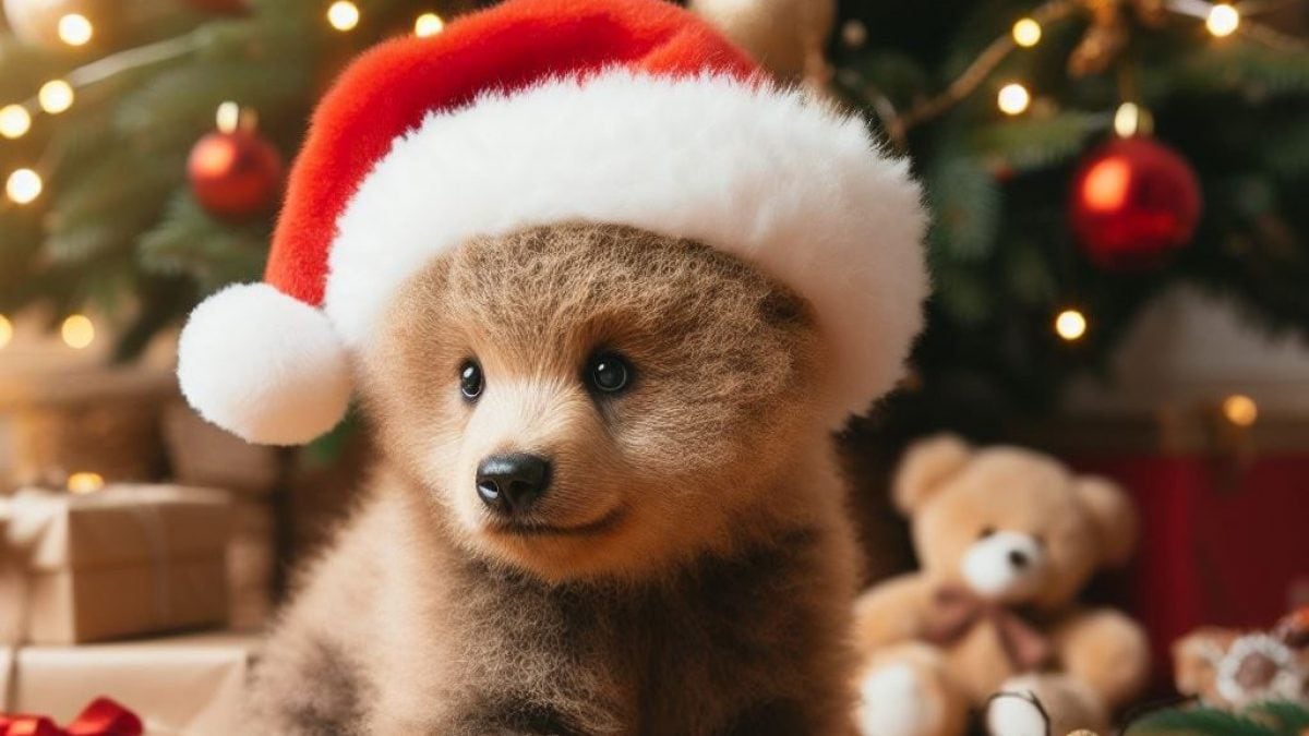 Joyeux Noël 2023, images de vœux et Gif à télécharger gratuitement le 25 décembre 2 Joyeux Noel 2023 images de voeux et Gif a telecharger
