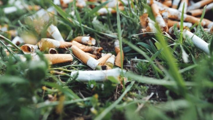 La Lituanie a une solution pour les mégots de cigarettes : les utiliser pour produire du... 2 Beata de cigarros