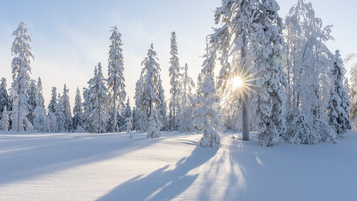 L'hiver absent : risques et conséquences de l'absence de neige pour la crise climatique 2 Lhiver qui nest pas la risques et consequences de