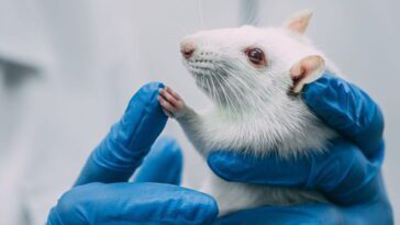 Nouveau dispositif imprimé en 3D pourrait mettre fin aux tests de médicaments sur les animaux 27 Testes em animais