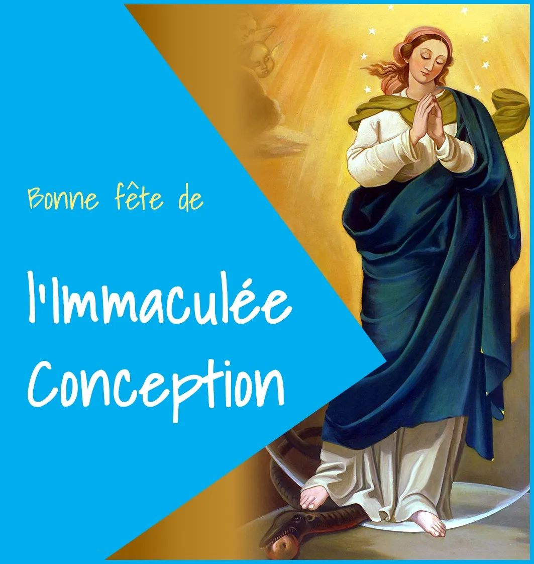 Joyeuse fête de l'Immaculée Conception 2024 : les plus belles images et GIF pour vos vœux du 8 décembre 9 Bonne Fete De L'immaculée Conception 4