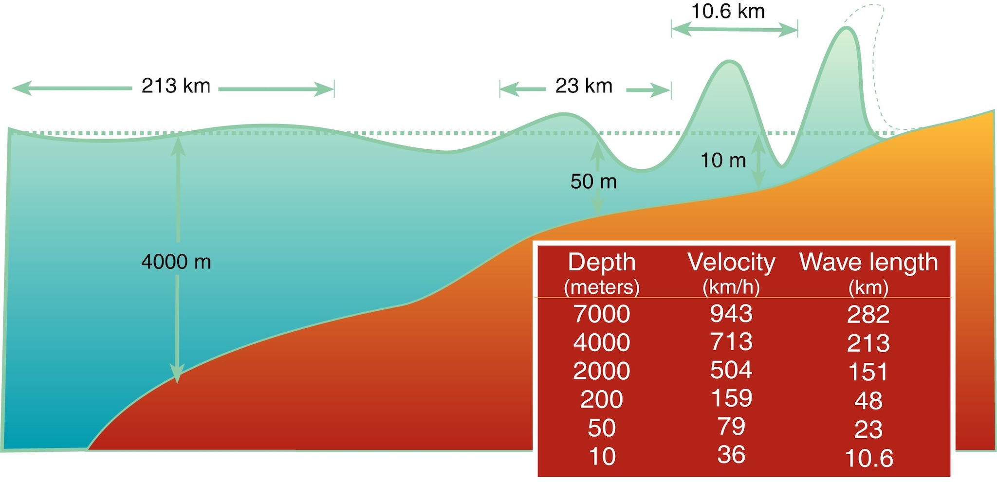 Qu'est-ce qu'un tsunami, comment se forme-t-il et pourquoi le Japon est-il si exposé au danger 3 L'élévation d'une vague de tsunami. Crédit : INGV