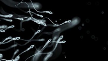 Des scientifiques ont détecté des spermatozoïdes défier l'une des principales lois de la Physique 23 Espermatozoides