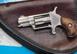 Come funziona la mini-pistola del deputato Pozzolo: è una North American arms LR22