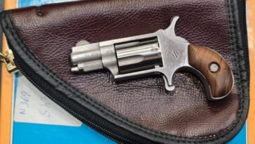 Comment fonctionne le mini-pistolet du député Pozzolo : c'est un North American Arms LR22 13 Come funziona la mini-pistola del deputato Pozzolo: è una North American arms LR22