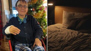 Sonambulisme, qu'est-ce que le trouble de la marche pendant le sommeil et que savons-nous du cas de Susanna Tamaro 15 Sonnambulismo, cos’è il disturbo di chi cammina nel sonno e cosa sappiamo del caso di Susanna Tamaro