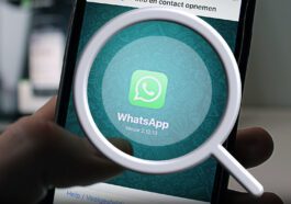 In WhatsApp Medien, Links und Docs finden: So geht’s