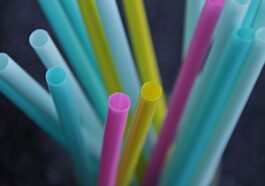 Perché le cannucce in carta e bambù non sarebbero un’alternativa così ecologica, secondo uno studio