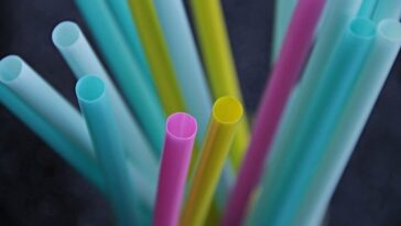 Pourquoi les pailles en carton et en bambou ne seraient pas une alternative si écologique, selon une étude 13 Perché le cannucce in carta e bambù non sarebbero un’alternativa così ecologica, secondo uno studio