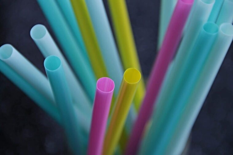Pourquoi les pailles en carton et en bambou ne seraient pas une alternative si écologique, selon une étude 1 Perché le cannucce in carta e bambù non sarebbero un’alternativa così ecologica, secondo uno studio
