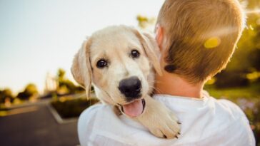 Comment faire vivre plus longtemps et en bonne santé son chien : les scientifiques révèlent le facteur "secret" 12 Come far vivere più a lungo e in salute il proprio cane: scienziati svelano il fattore “segreto”