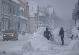 Perché i – 43,6 °C in Svezia non smentiscono affatto la crisi climatica in corso