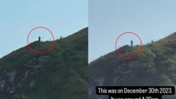 Selon cette vidéo, il y aurait "des aliens mesurant trois mètres" au Brésil : l'explication est simple 17 Secondo questo video ci sarebbero “alieni alti tre metri” in Brasile: la spiegazione è semplice