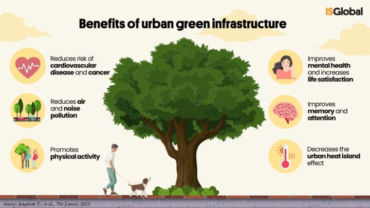 Nouvelle étude montre des stratégies innovantes pour rendre les villes plus fraîches 3 Avantages des arbres