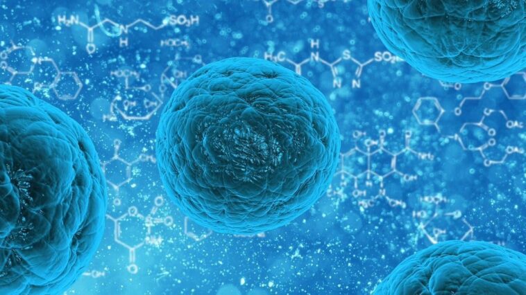 Pourquoi le cancer touche de plus en plus les jeunes 1 Perché il cancro colpisce sempre di più i giovani