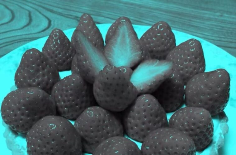 Si ces fraises vous semblent rouges, vous avez été trompés : l'explication 1 Se queste fragole vi sembrano rosse anche voi siete stati ingannati: la spiegazione