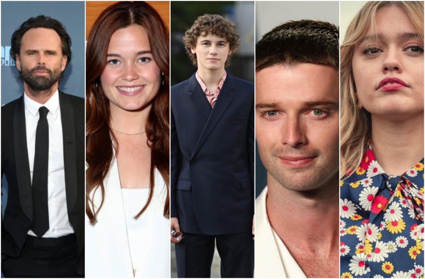 La troisième saison de The White Lotus ajoute cinq autres acteurs à son casting 3 The White Lotus