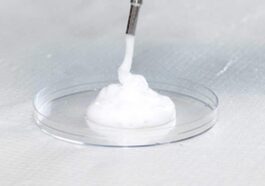 Cancro, il consumo di questa schiuma riduce crescita e sviluppo dei tumori in test di laboratorio