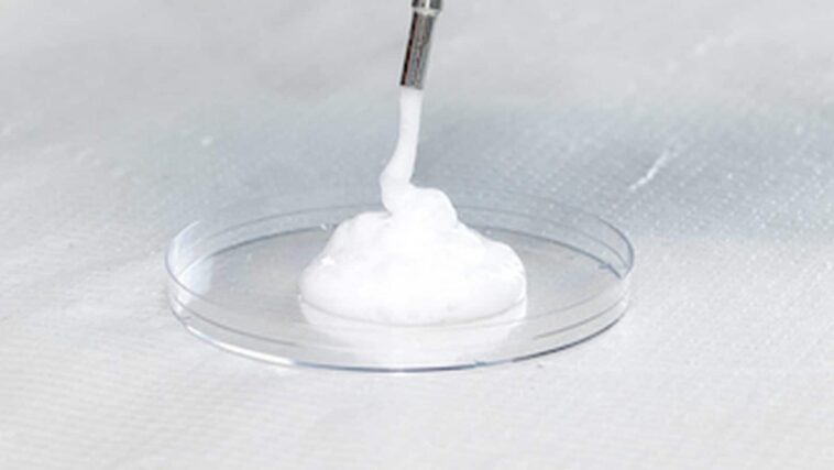 Cancer, la consommation de cette mousse réduit la croissance et le développement des tumeurs dans les tests en laboratoire 1 Cancro, il consumo di questa schiuma riduce crescita e sviluppo dei tumori in test di laboratorio