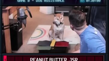 Ce chien est parvenu à terminer un jeu vidéo en moins de 27 minutes 3 Questo cane è riuscito a finire un videogioco in meno di 27 minuti