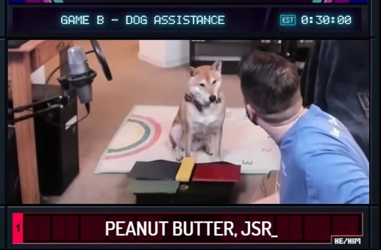 Questo cane è riuscito a finire un videogioco in meno di 27 minuti