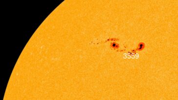 Tache solaire gigantesque apparue sur le Soleil : elle mesure 10 fois la taille de la Terre. Quels sont les risques ? 6 Gigantesca macchia solare comparsa sul Sole: è lunga 10 volte la Terra. Quali sono i rischi