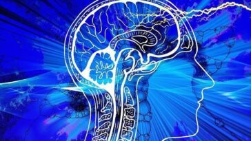 Comment fonctionne le test qui vous indique si vous aurez Alzheimer : il détecte la maladie 15 ans avant les symptômes 30 Come funziona il test che ti dice se avrai l’Alzheimer: rileva la malattia 15 anni prima dei sintomi