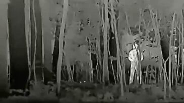 Selon Moscou, l'armée russe disposera désormais d'une cape d'invisibilité : la vidéo 21 Secondo Mosca ora l’esercito russo avrà in dotazione un mantello dell’invisibilità: il video