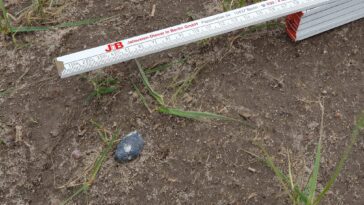 Astéroïde explosé dans le ciel de Berlin : récupération des possibles fragments 12 Asteroide esploso nel cielo di Berlino: recuperati i possibili frammenti