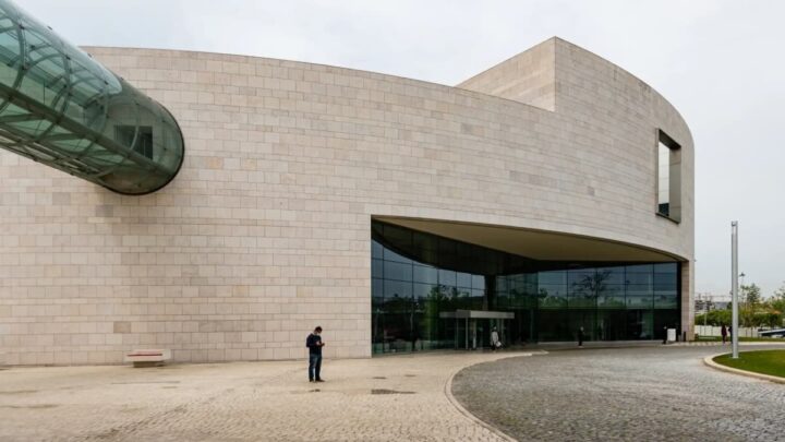 La Fondation Champalimaud collabore à une étude sur les "champignons magiques" 3 Fondation Champalimaud