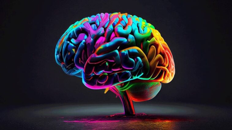La maladie d'Alzheimer a été transmise entre les humains à cause d'une procédure clinique 1 Representação do cérebro sob drogas psicadélicas
