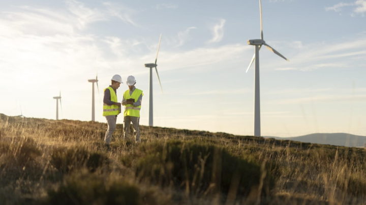 Des scientifiques découvrent deux espèces d'arbres prometteuses pour une énergie propre 3 Énergie éolienne, énergies renouvelables