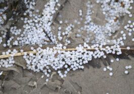 Minuscole palline di plastica su una spiaggia